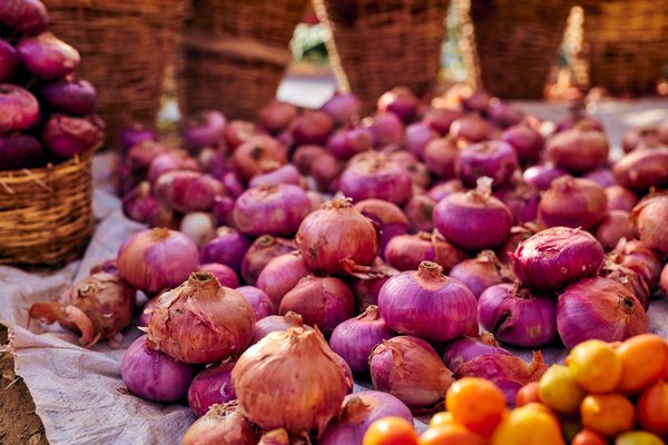 Le Halal dans les écoles et les universités : un débat ouvert